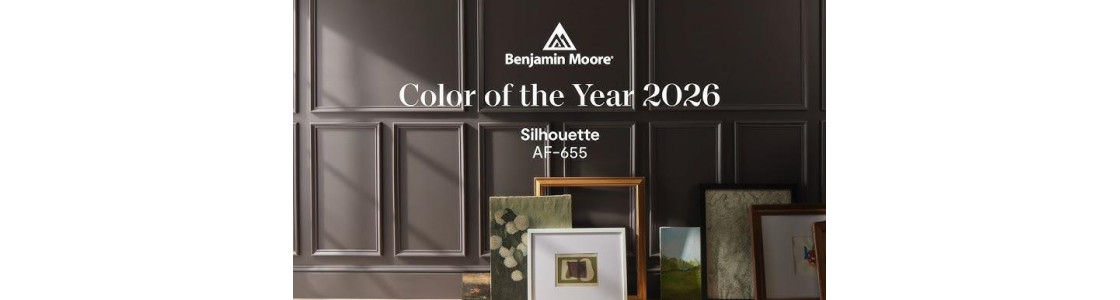 Колір року 2026 від Benjamin Moore - Silhouette AF-655 