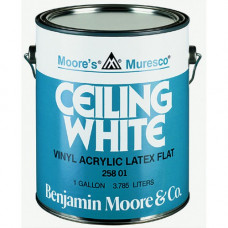 Muresco Ceiling White.258