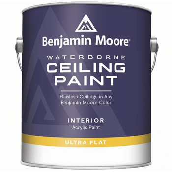 Waterborne Ceiling Paint 508