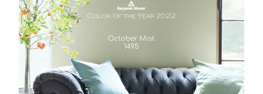 Color of  The Year 2022